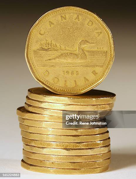 Detail photo of the Canadian one dollar coin file photo for any use.