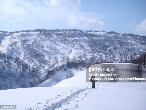 threepinner goes on mt.nobusha - japan skiing stock pictures, royalty-free photos & images