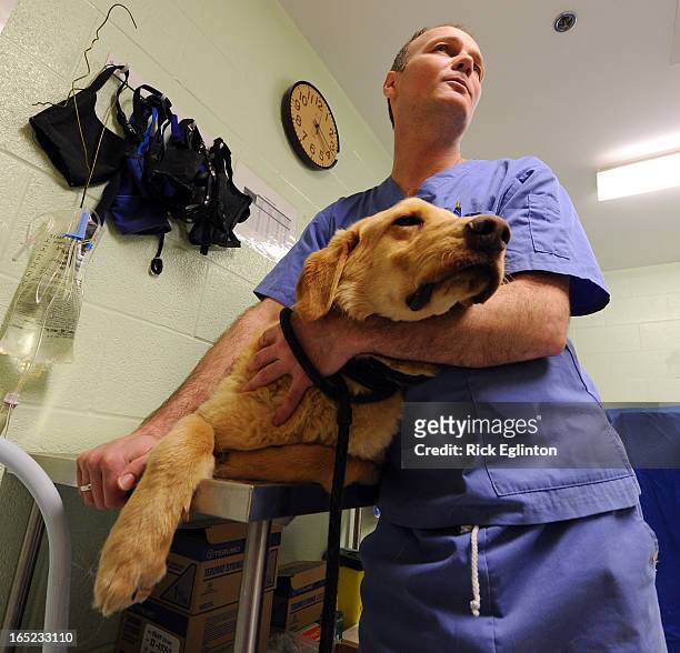 James McLean Toronto Animal Services Animal Care Control officer and...  News Photo - Getty Images