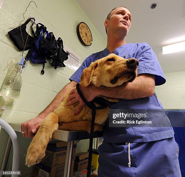 James McLean Toronto Animal Services Animal Care Control officer and... News Photo - Getty Images James McLean Toronto Animal Services Animal Care Control officer and... News Photo - Getty Images