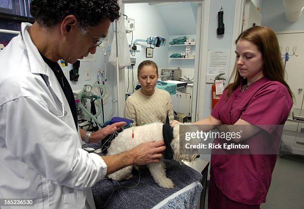 05117956Rick Eglinton Toronto Star.Dr. Jack Gewarter of the Bloorcourt Vetrinary Clinic takes Brand New Planet reporter for a day Eliza Niemi 12 yrs...