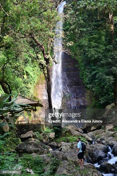 gitgit waterfall - bali - singaradja man stock pictures, royalty-free photos & images