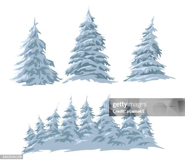 christmas fir trees - pine tree vector stock illustrations