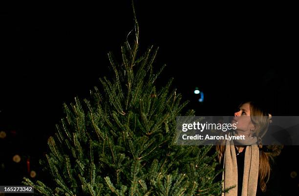 Heather Ogden sizes up a Balsam Fir for her very first Christmas Tree at the Beaches Lions Club Christmas Tree sale in Kew Gardens on Queen St. East,...