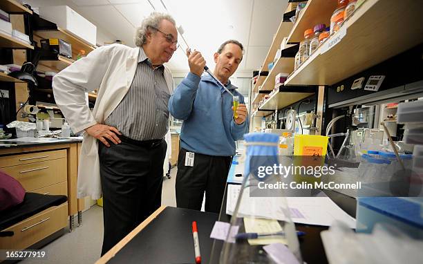 Dan Inman Lab 11,699 Getting A Colleagues Input Stock Photos, High-Res Pictures, and ...