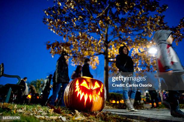 November/1/2010 -- Roncesvalles community residents admire jack-o-lanterns in Sorauren Park the night after Halloween. The Pumpkin Parade event has...