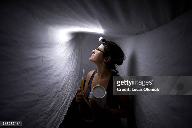 Dr. Marta Moreno, a Spanish entomologist, hunts Anopheles darlingi mosquitos using an aspirator in a Shannon trap set up on the outskirts of the...