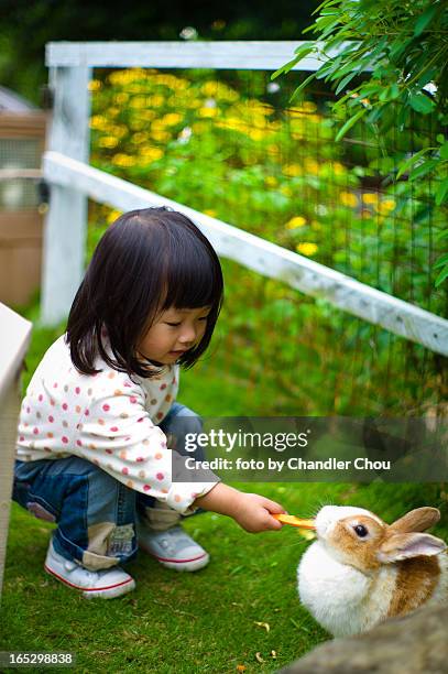 1,264 Rabbit Feeder Stock Photos, High-Res Pictures, and Images - Getty ...