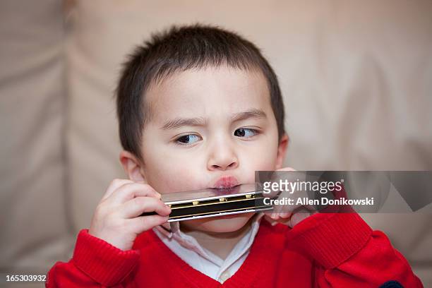 child playing harmonica - harmonica stock pictures, royalty-free photos & images