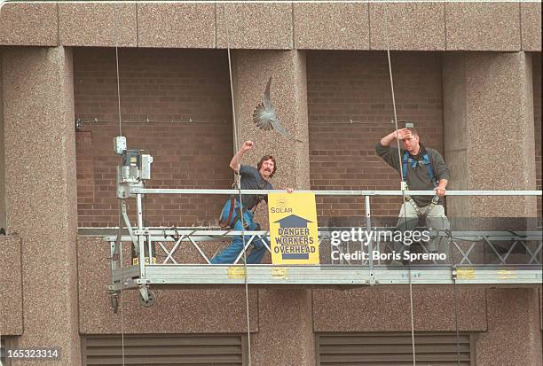 Crew Helping Dad Photos and Premium High Res Pictures - Getty Images