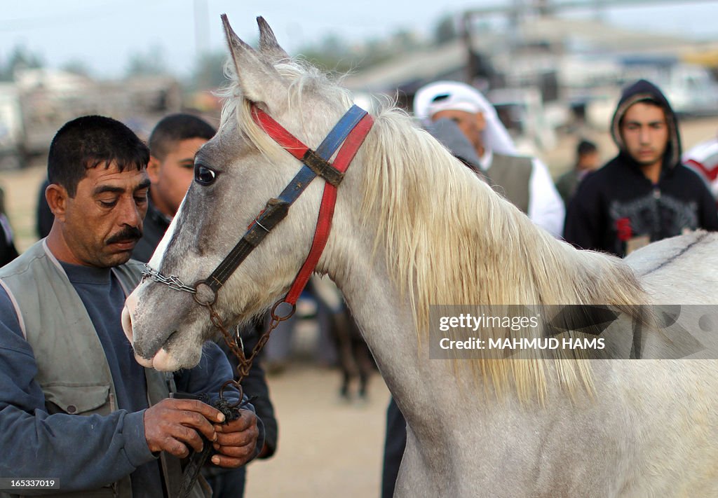 PALESTINIAN-DAILYLIFE-HORSES