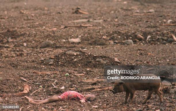 The body of a child lies in a mud field 02 November in the Posoltega area of Nicaragua, 135kms northwest of Managua, where a mudslide caused by heavy...