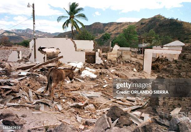 Buried in a sand sea the 22 October 1999, the rest of the catolic church of Morolica in Honduras rest, a town that the hurricane Mitch convirtio in...