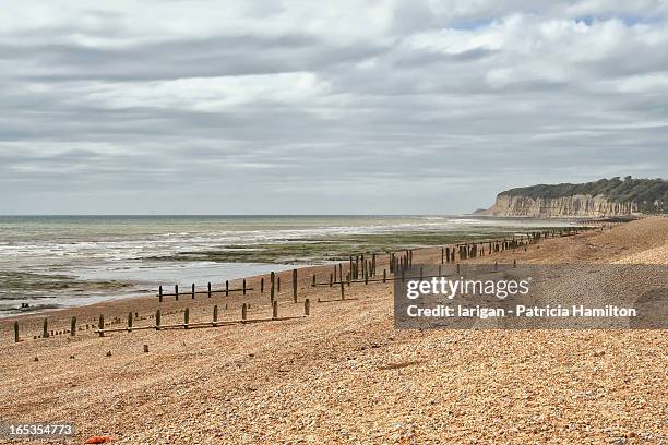pett level - east sussex stock pictures, royalty-free photos & images
