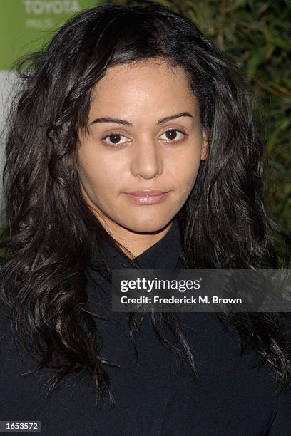 Actress Persia White attends the 12th Annual Environmental Media Awards at the Ebell of Los Angeles on November 20, 2002 in Los Angeles. The...