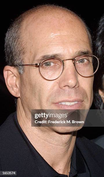 Producer Jeffrey Katzenberg attends the 12th Annual Environmental Media Awards at the Ebell of Los Angeles on November 20, 2002 in Los Angeles. The...