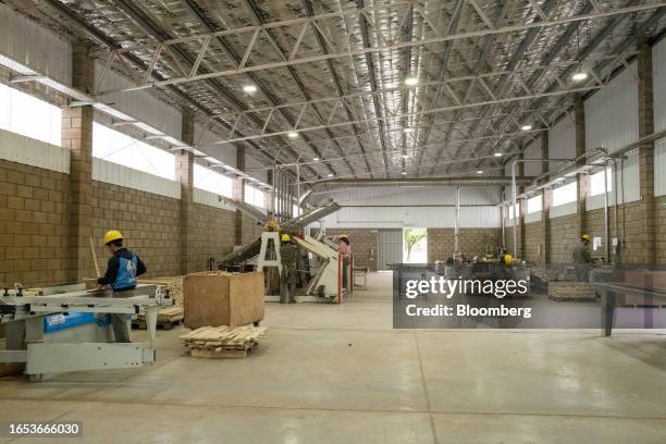 Workers at the Center for Technological Woodworking Development in Machagai, Chaco province, Argentina, on Wednesday, Sept. 6, 2023. The majority...