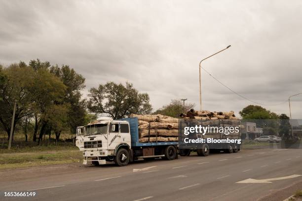 Truck transports timber logs to a sawmill in Machagai, Chaco province, Argentina, on Wednesday, Sept. 6, 2023. The majority state-owned Chaco...