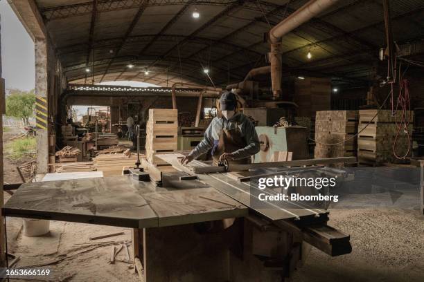 Worker cuts wood boards used in the production of furniture at a woodshop in Machagai, Chaco province, Argentina, on Wednesday, Sept. 6, 2023. The...