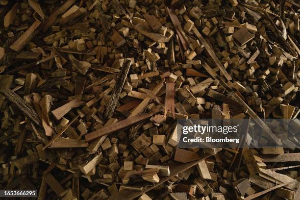 Wood scraps used to fuel a boiler for a wood drying system at the Center for Technological Woodworking Development in Machagai, Chaco province,...
