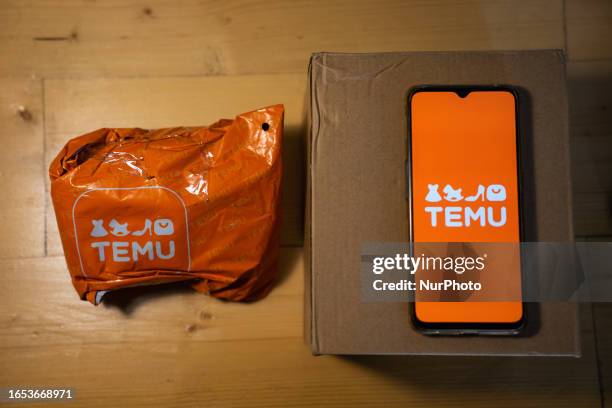 Package from Temu is seen and a mobile phone with the Temu logo on its screen.