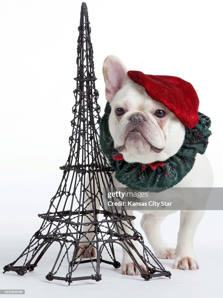 3rd dog Christmas illustration