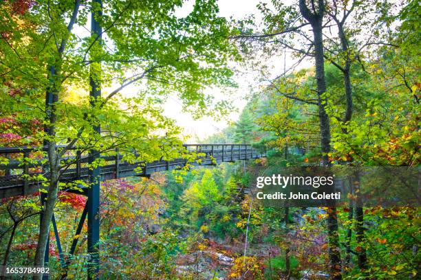 tallulah gorge state park, appalachian mountains, georgia - tallulah gorge state park stock pictures, royalty-free photos & images
