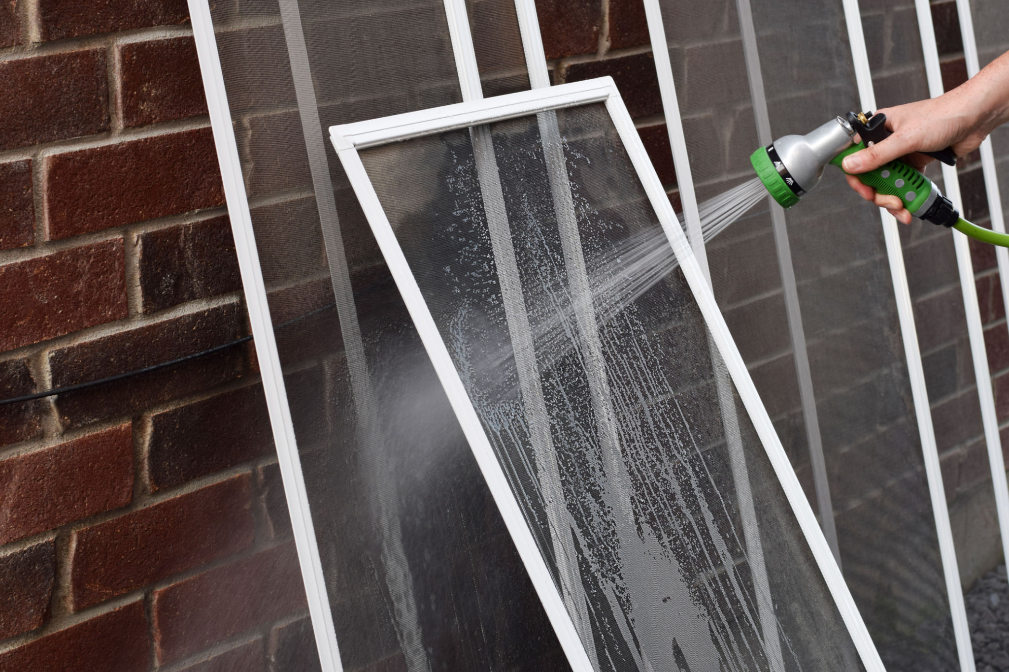 cleaning insect screen