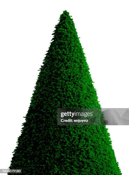 topiary christmas tree - topiary stock illustrations