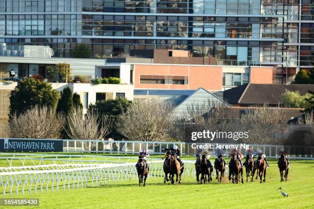 Chad Schofield riding Navajo Peak wins Race 8 Daily Press Chelmsford Stakes during "City Tattersalls Club Cup Day" - Sydney Racing at Royal Randwick...