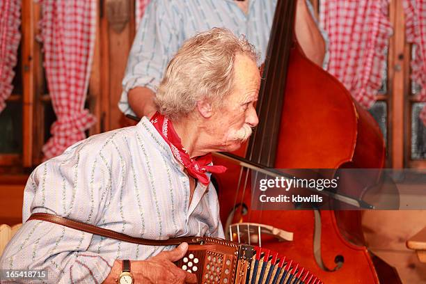 musiker in der traditionellen schweizer yodelling trio - kontrabass stock-fotos und bilder