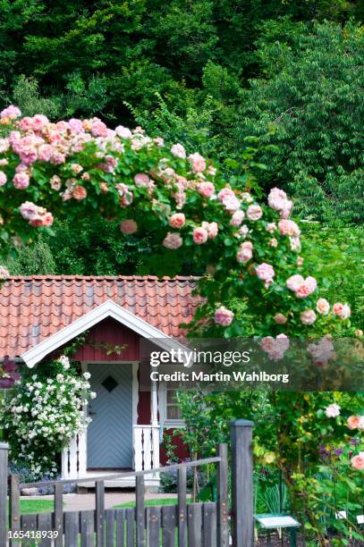 idyllic red cottage in botanical garden - red roses garden stock pictures, royalty-free photos & images