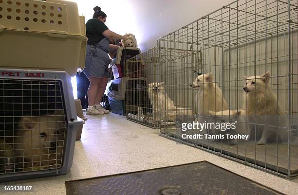 14 Ontario Society For The Prevention Of Cruelty Photos and Premium High  Res Pictures - Getty Images