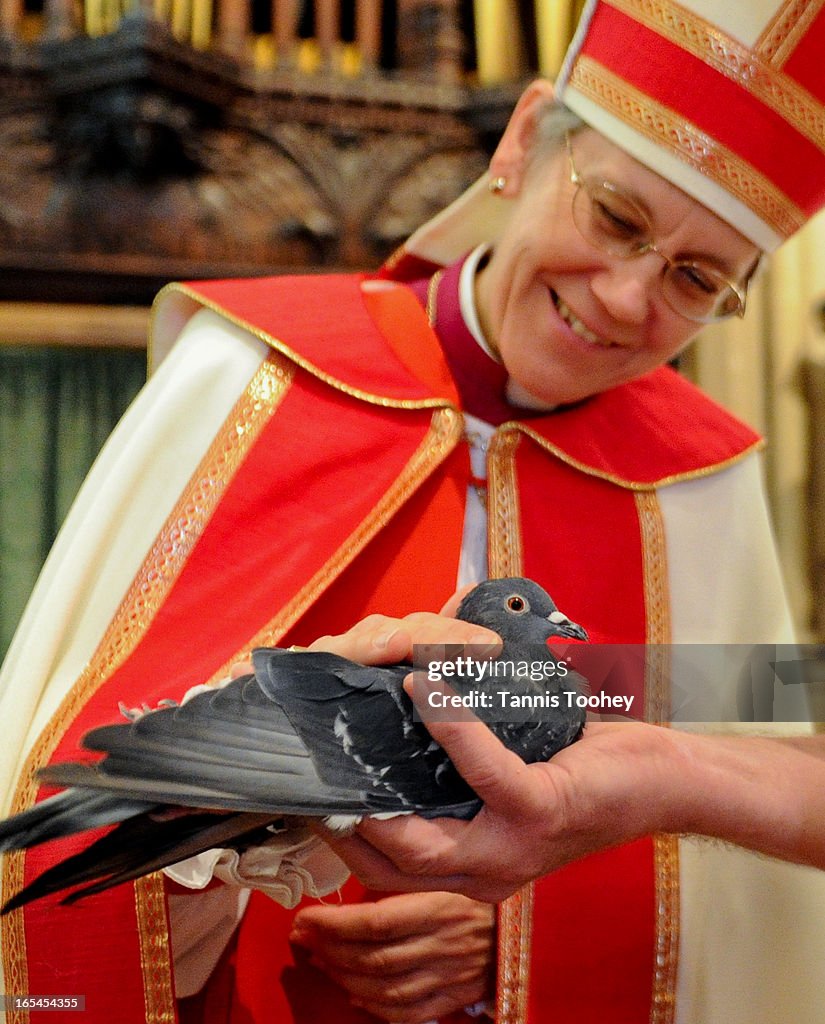 October 2, 2010-Bishop Linda Nicholls blesses Peter Rolfe's pidgeon Stan who he rescued from the Sta