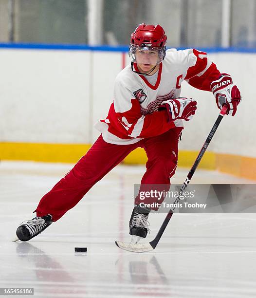 303 Hamilton Red Wings Stock Photos, HighRes Pictures, and Images