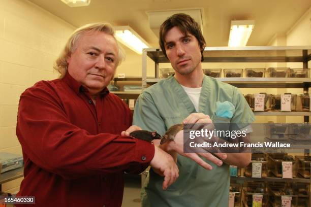 61 David Mcmaster Photos & High Res Pictures - Getty Images