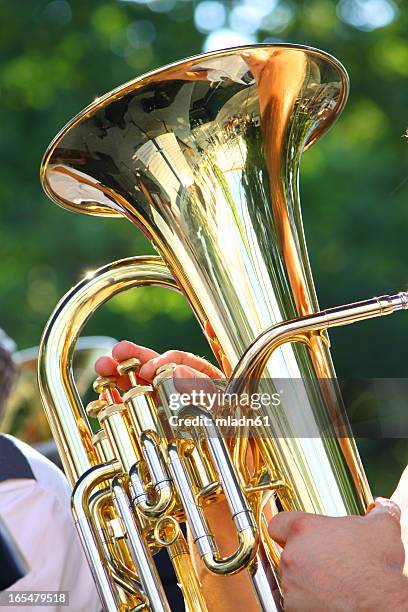 tuba - tuba imagens e fotografias de stock