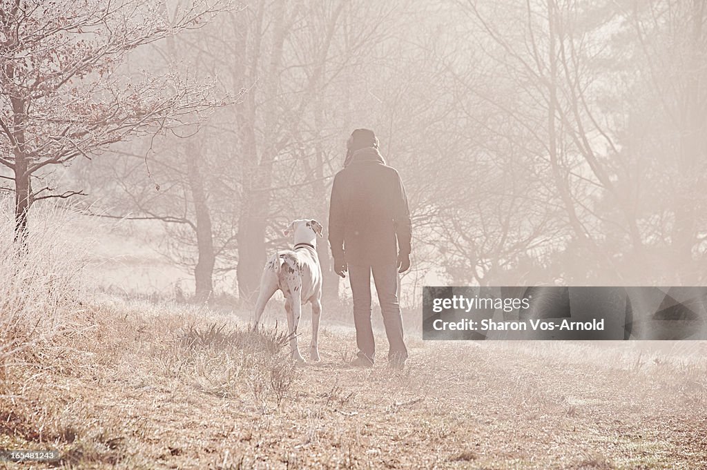 Man & Great Dane dog on a misty walk in the woods