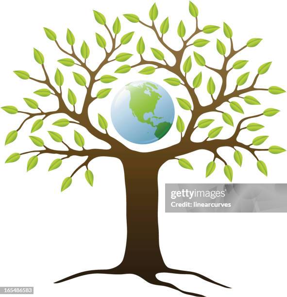 42 Ilustraciones de Arbol De La Vida Dibujo - Getty Images 42 Ilustraciones de Arbol De La Vida Dibujo - Getty Images