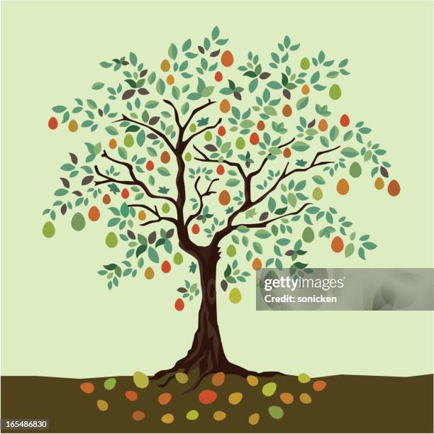 illustrazioni stock, clip art, cartoni animati e icone di tendenza di anni di proficua - albero da frutto