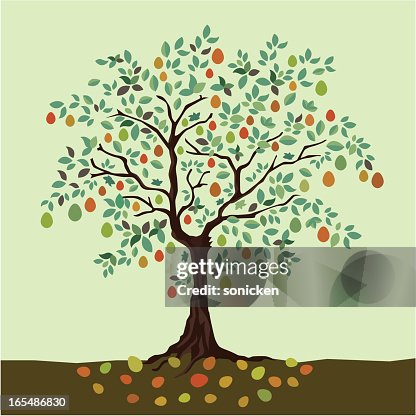 Years of fruitful Years of fruitful