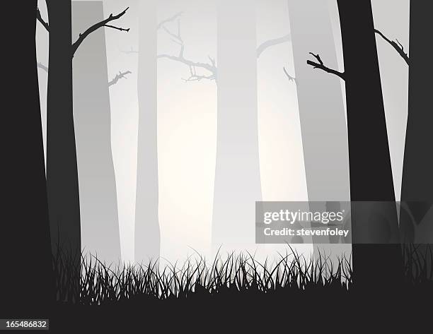 forest woods in fog - bare tree stock illustrations