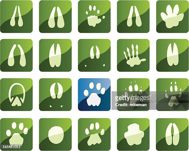 african foot print icons - kudu stock illustrations