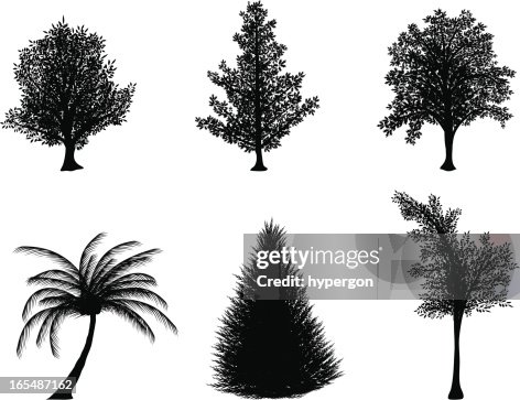Nature Elements - Trees Nature Elements - Trees
