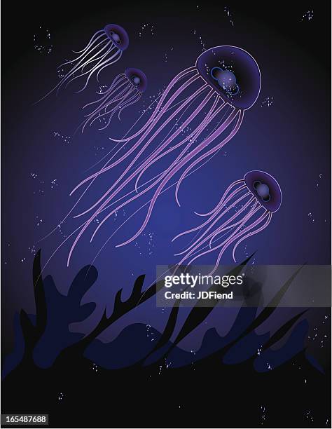 school of jellyfish - glowing fish stock illustrations