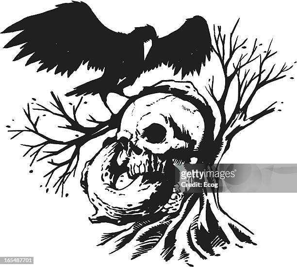 skull and raven - dead raven stock illustrations