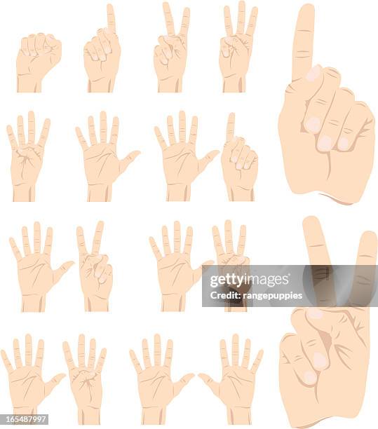 Compter Vector Photos et images de collection - Getty Images