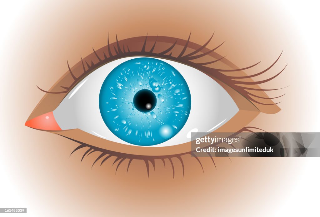 Eye