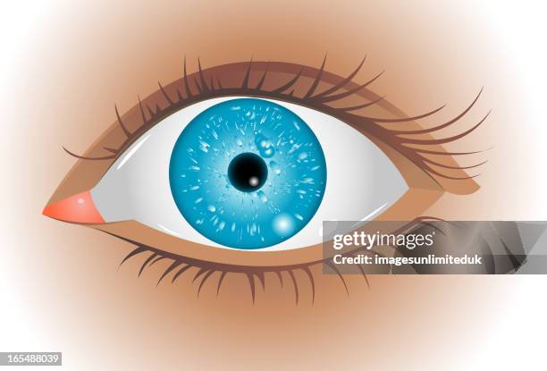 eye - iris flower stock illustrations