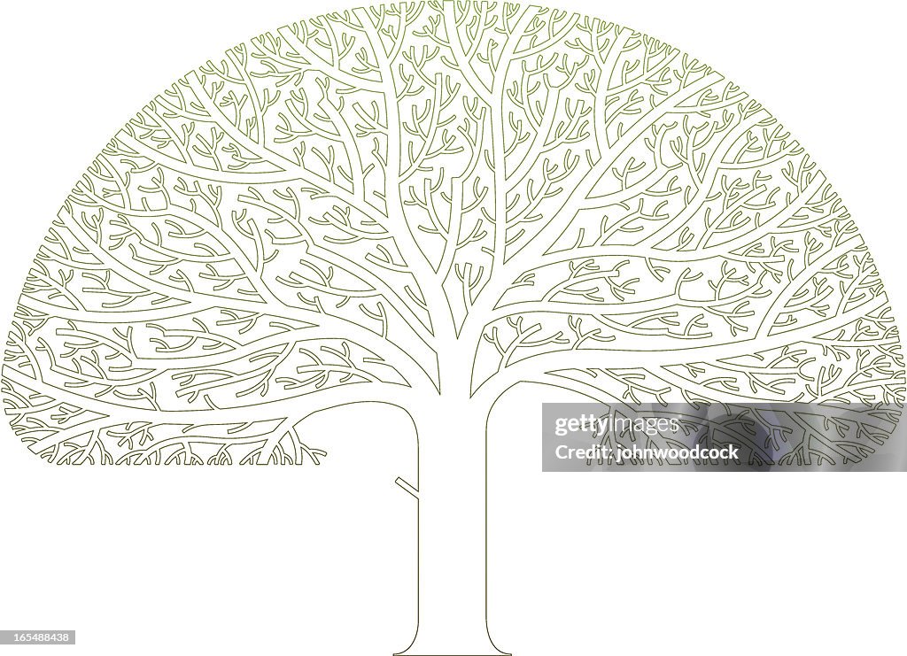 Linear Tree High-Res Vector Graphic - Getty Images